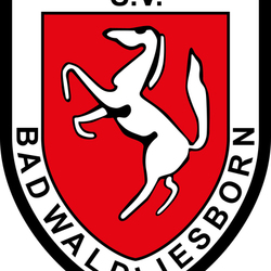 SV Bad Waldliesborn